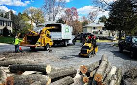 Best Tree Preservation Services  in USA